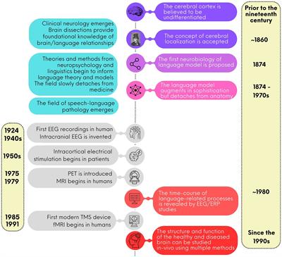 A historical perspective on the neurobiology of speech and language: from the 19th century to the present